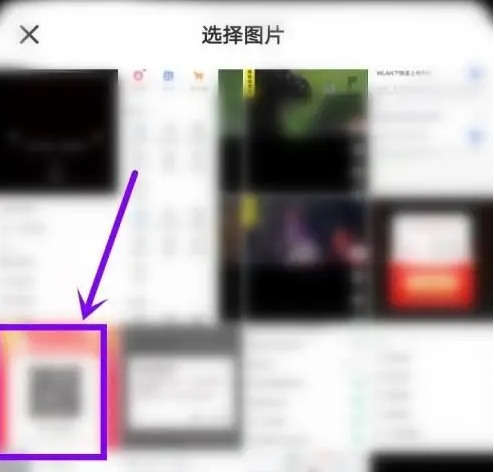 小白菜-直播盒子
